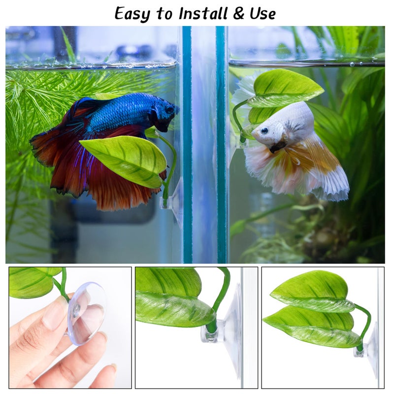 URATOT 4 Pack Betta Fish Leaf Pad Simulating The Natural Habitat for Betta Spawning Grounds Breeding Resting Bed - Image 3